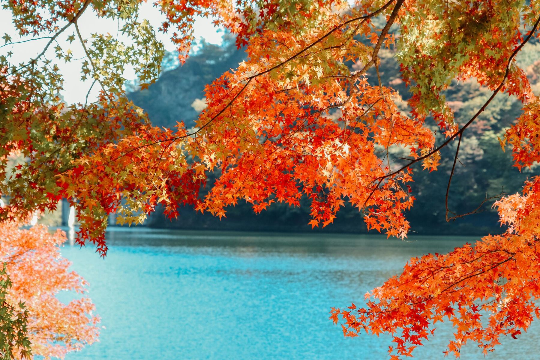 Folhagem de outono refletida no Lago Usui, em Gunma, Japão